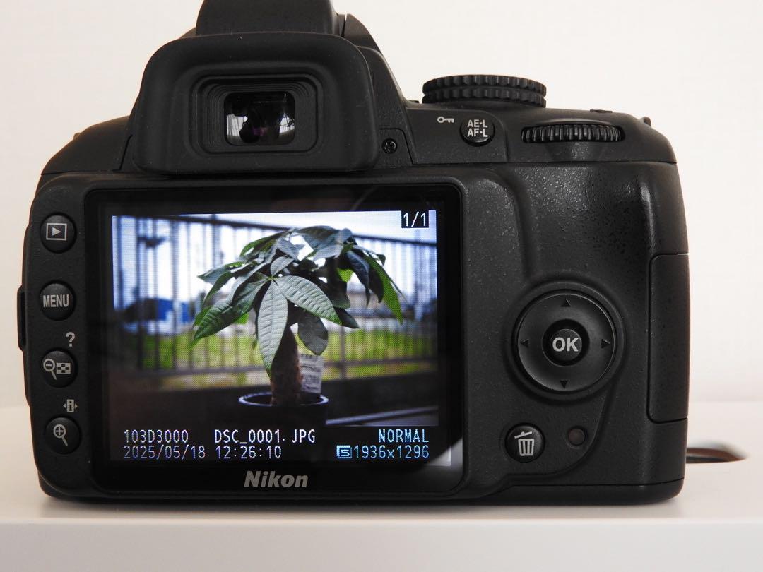 Nikon D3000 18-55 VRレンズKit シャッター数約3000回