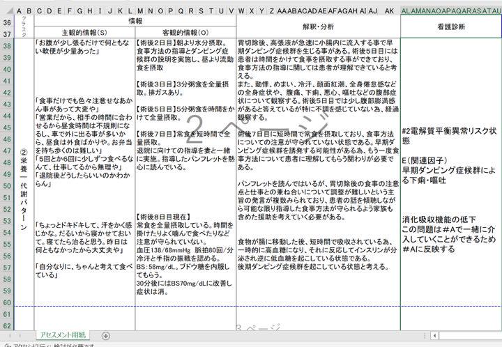 RIN様 アセスメント 実習記録 事前学習 国試 MlZxV-m84374841920 看護実習 手順書 関連図 新作大人気