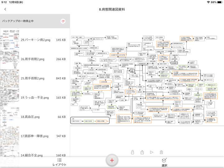 RIN様 アセスメント 実習記録 事前学習 国試 MlZxV-m84374841920 看護実習 手順書 関連図 新作大人気