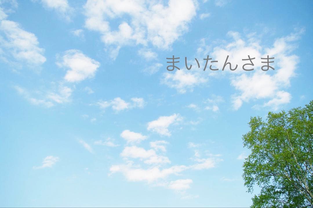 まいたんさま ハンドメイド カボション オーダー