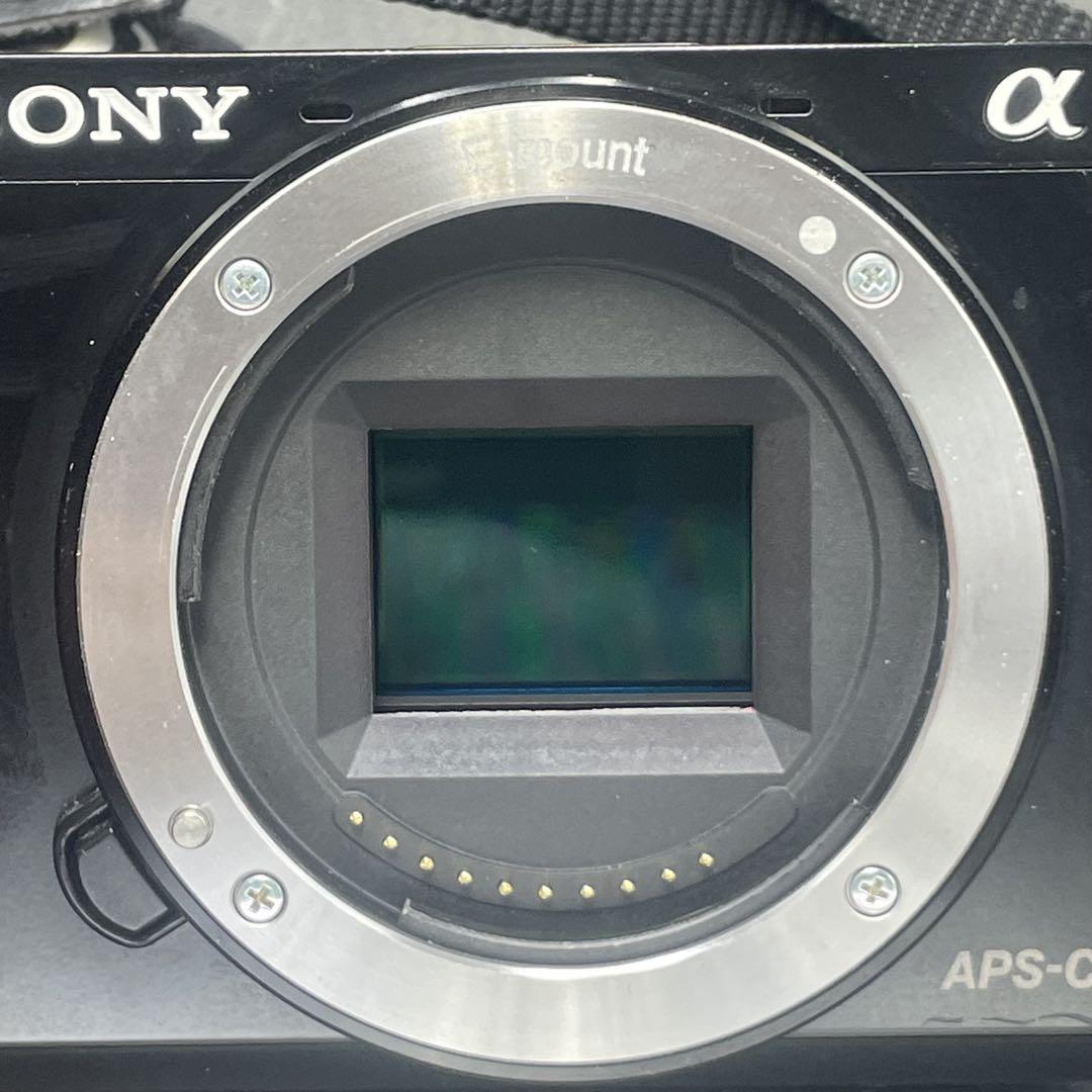 ショット数 5426回 SONY α6000 SELP1650