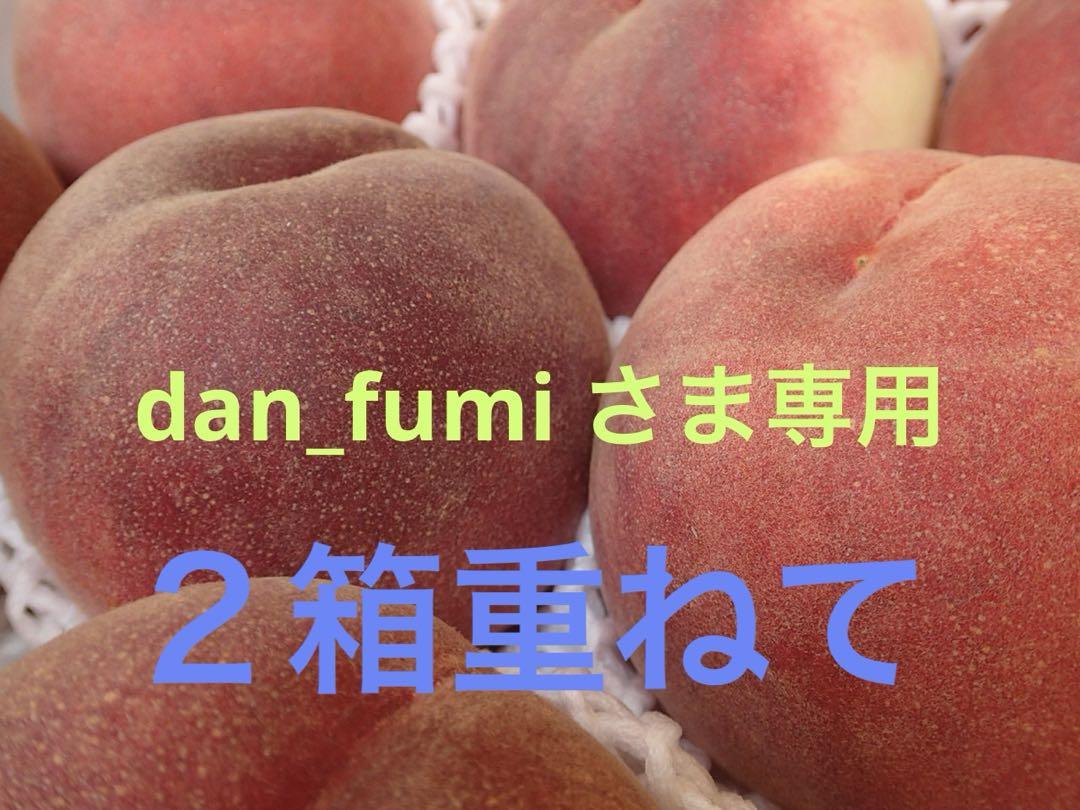 山梨の甘い桃　特大サイズを6個詰め発送　ももやのきよし