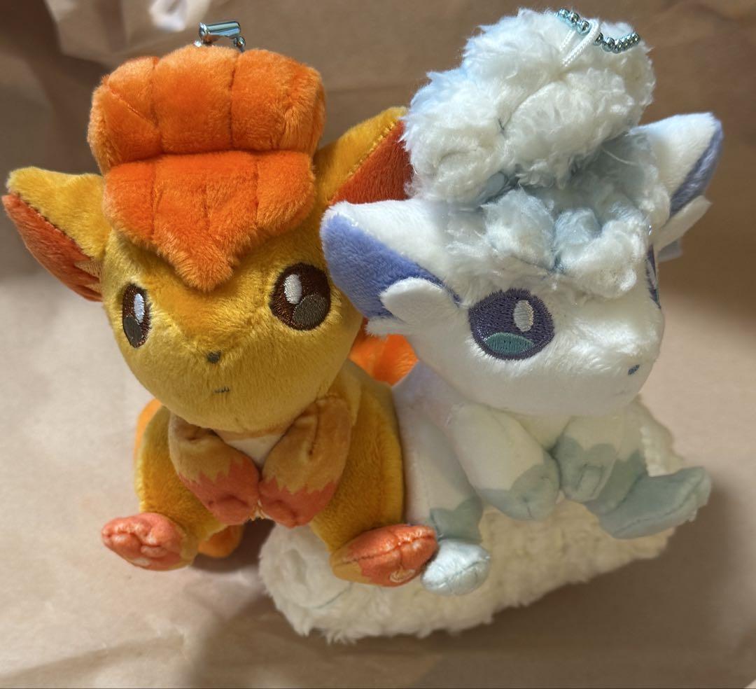 磁石でくっつくペアマスコット にたものどうし ロコン&アローラロコンVulpix 磁石でくっつく ペアマスコット にたものどうし ロコン アローラ