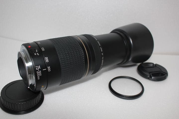 極上品☆フード付☆迫力の300mm☆キャノン Canon EF75-300 | contifarma.pe
