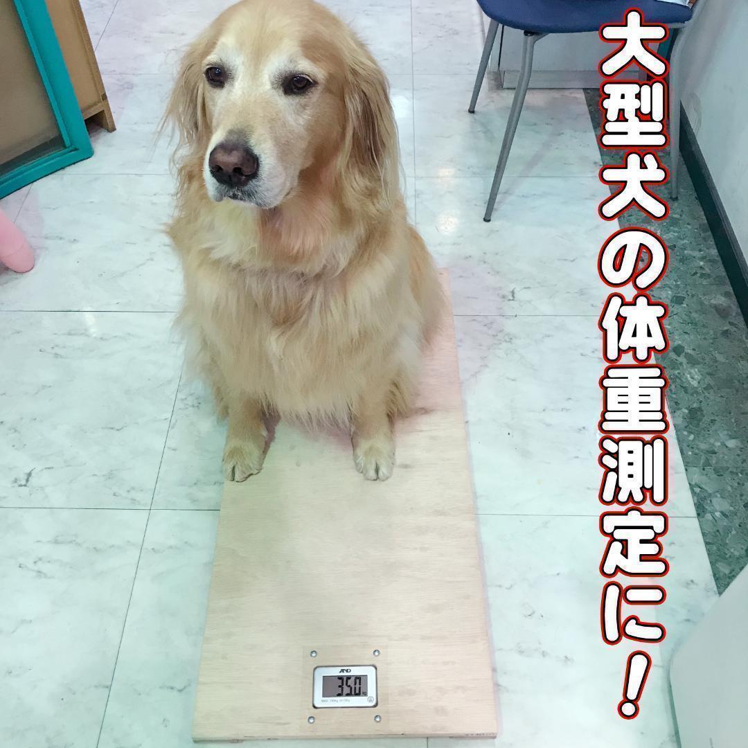 大型犬 犬 体重計 健康 介護 老犬 高齢 - www.splashecopark.com.br 大型犬 犬 体重計 健康 介護 老犬 高齢 - www.splashecopark.com.br