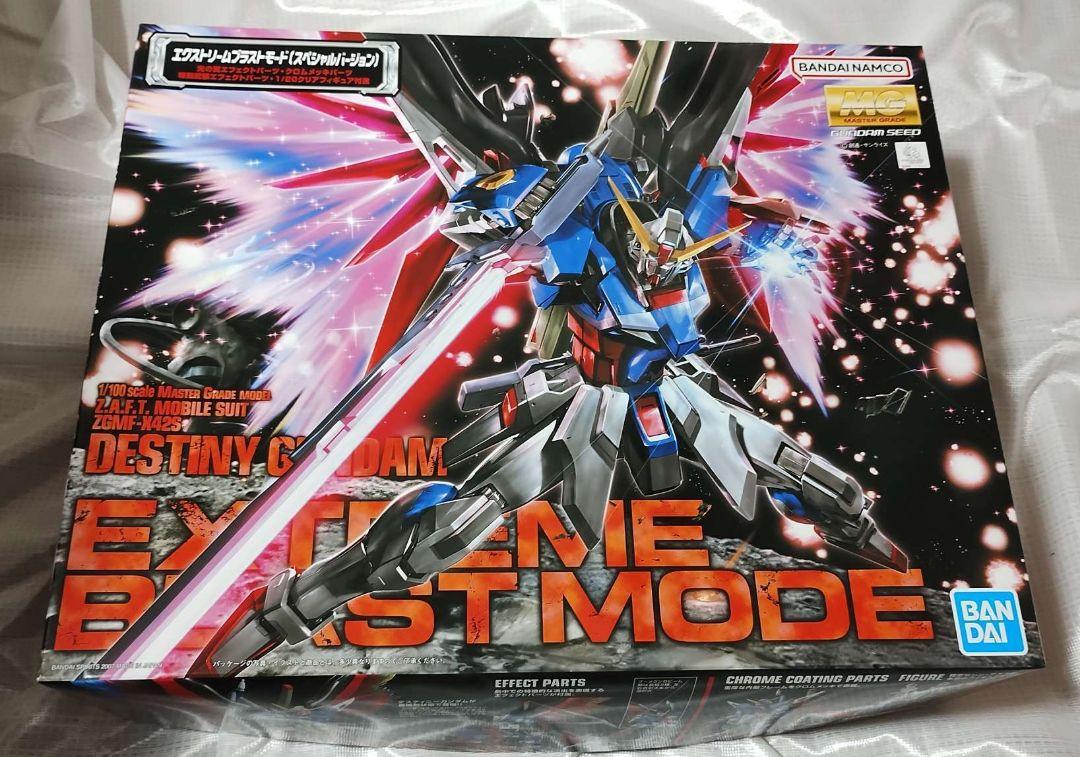 MG デスティニーガンダム
