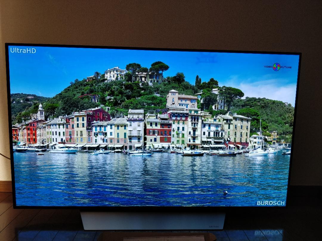 Air様専用 有機EL55インチテレビLG OLED55C7P 焼き付きあり Air様専用 有機EL55インチテレビLG OLED55C7P 焼き付きあり
