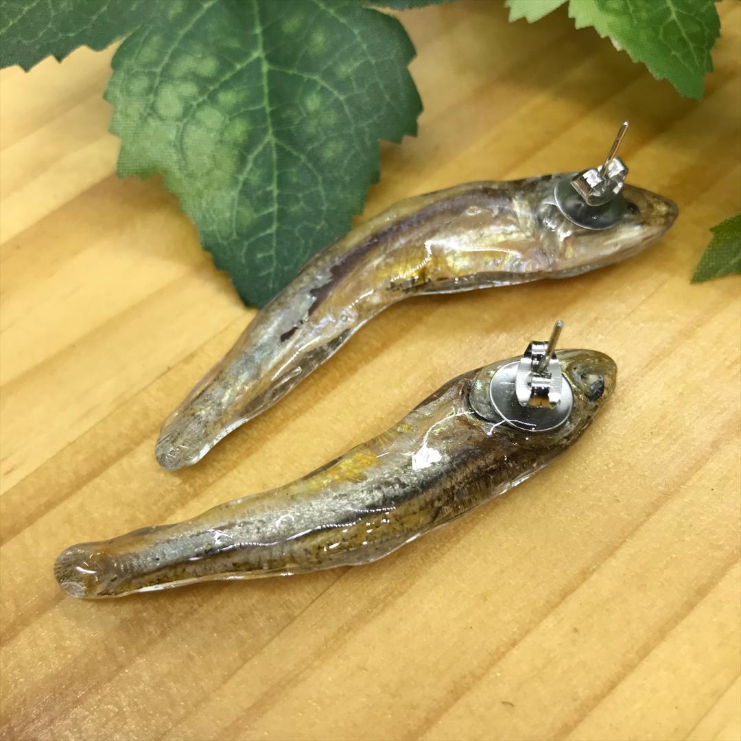 ピアス にぼし A