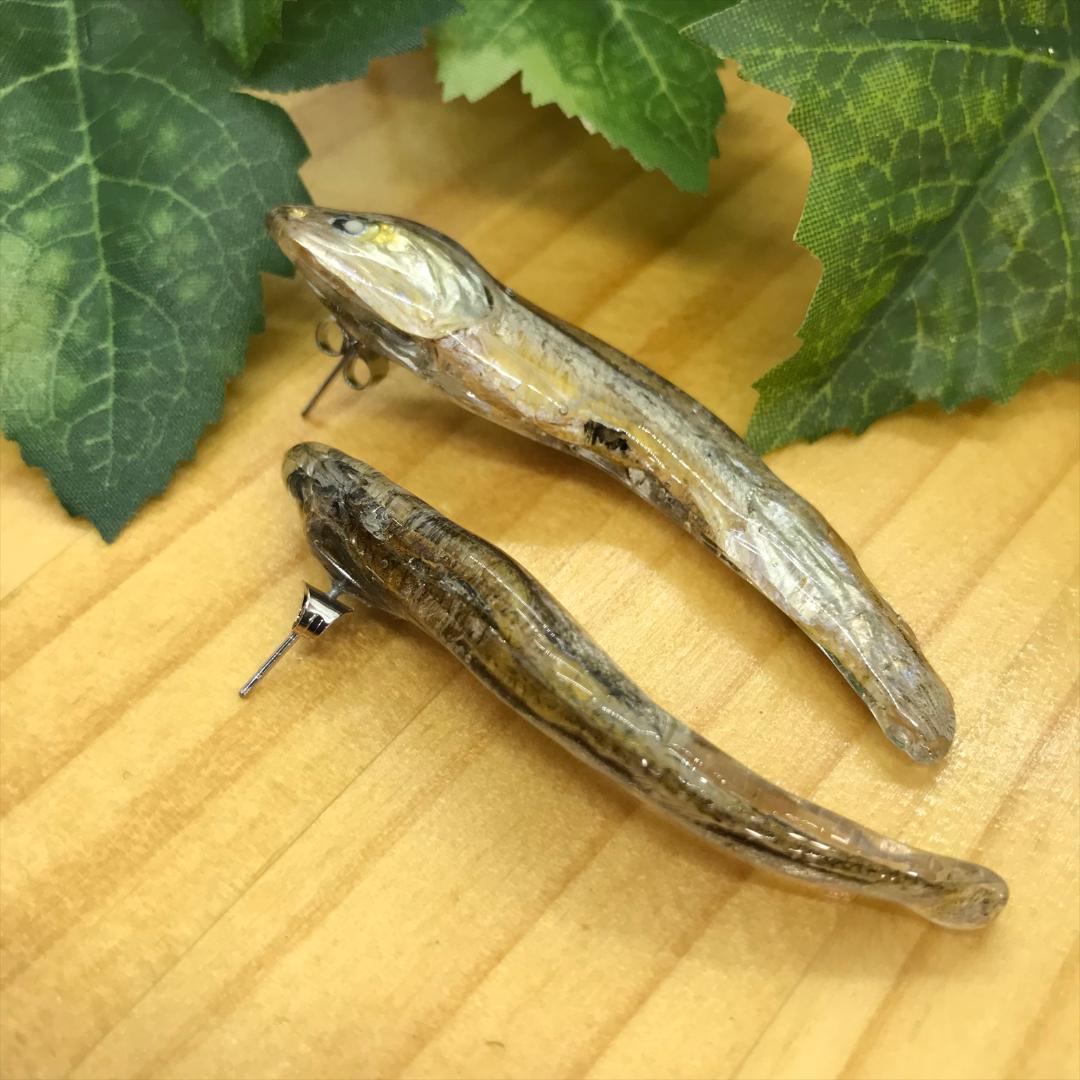 ピアス にぼし A