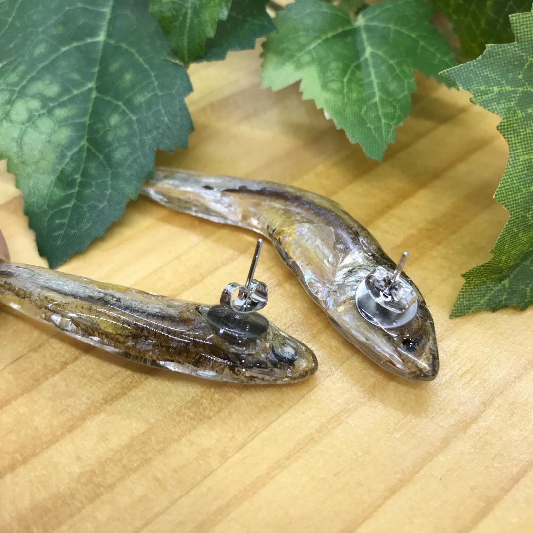 ピアス にぼし A