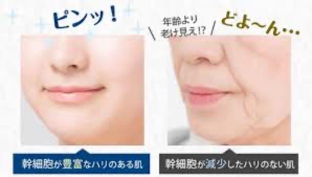 DREXEL　セラムマキシマイザー　2個 &　リフトマキシマイザー　2個 セラムマキシマイザー 30ml ヒト幹細胞培養液 エクソソーム 美容