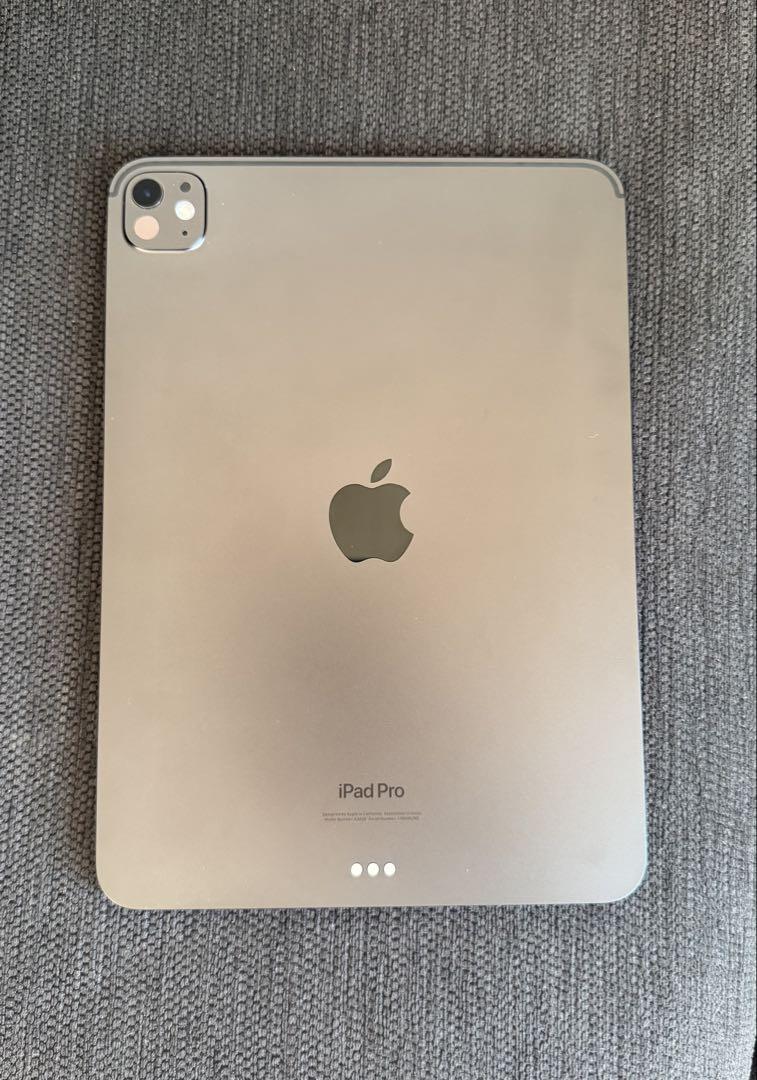 美品 Apple iPad Pro 11 M4 256GB
