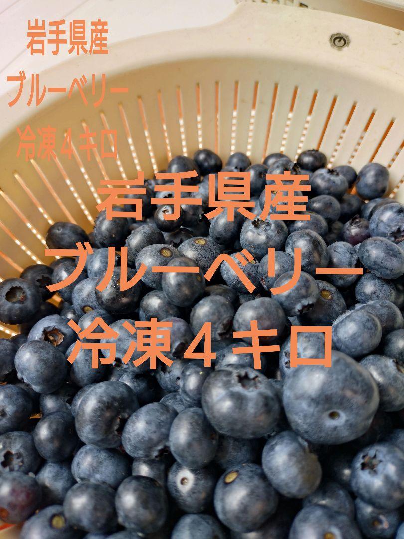 岩手県産　冷凍ブルーベリー　４キロ