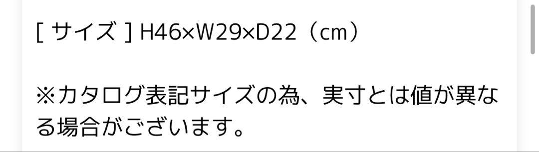 サラダさま専用　x-girl リュック