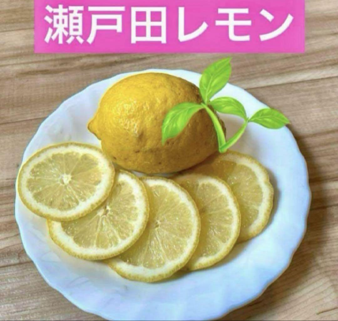 魔人ぷぅ 瀬戸田レモン 箱込み１５キロ 瀬戸田レモンケーキ 島ごころ 10個入り | JTBショッピング