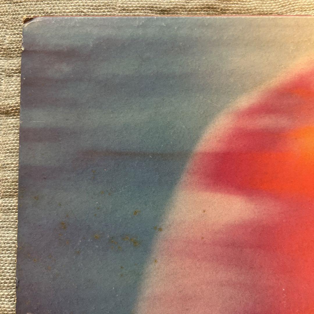 アナログレコード 12インチ my bloody valentine レコード｜洋楽