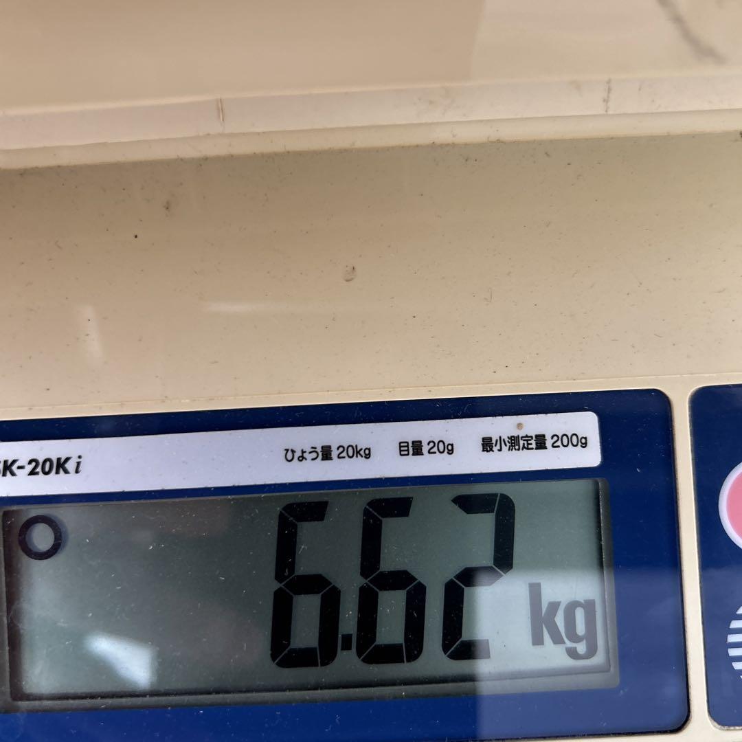 和歌山県産　紀州南高梅　6.5kg サイズ混合　農薬不使用③