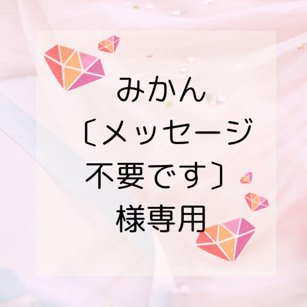 みかん〔メッセージ不要です〕様専用　ラインストーン　ミルキーストーン　高分子