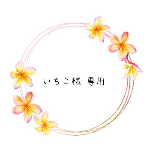 【いちこ様 ご確認用】