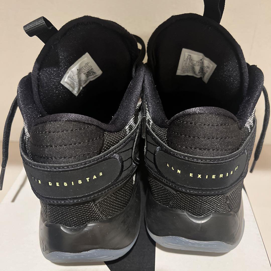 Jordan Luka 2 バスケットボールシューズ