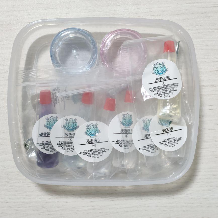 限定販売★オリジナル商品【透明標本作製キット】全17点 ミニミニ 透明標本作製キット】(初級：メダカ) 計13点 初心者