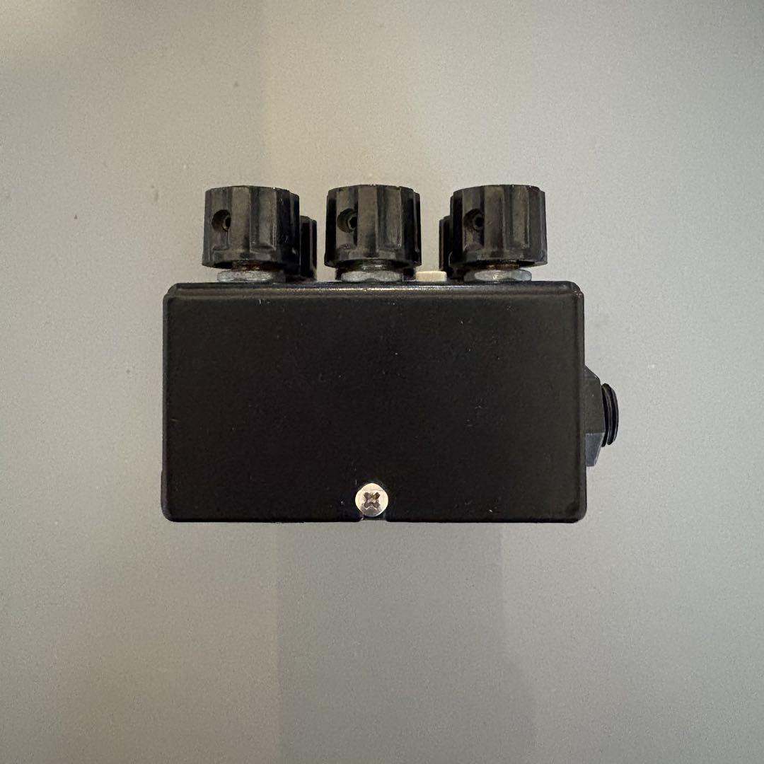 AMT Electronics Legend amps VT2 訳あり