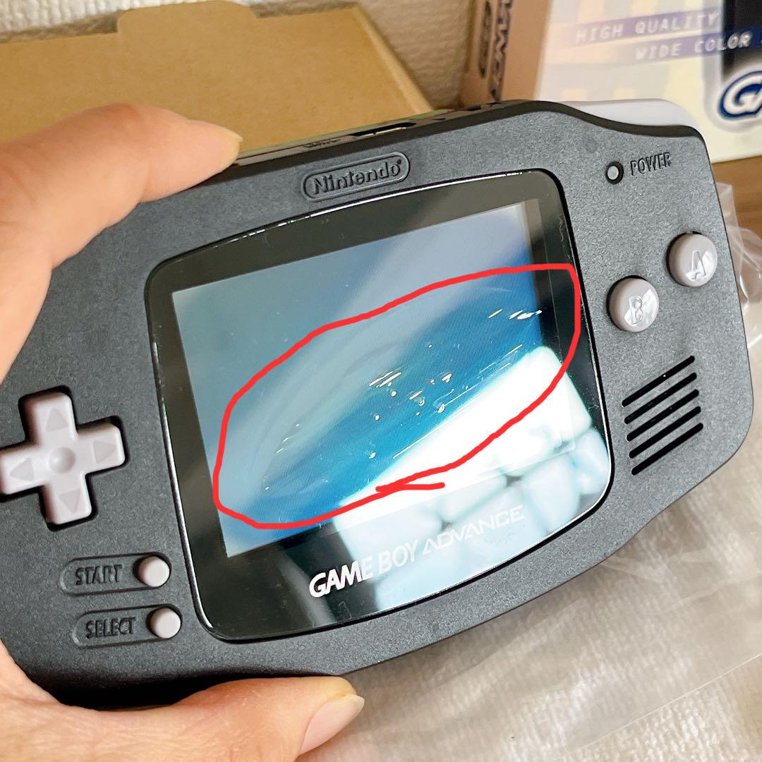 本体
