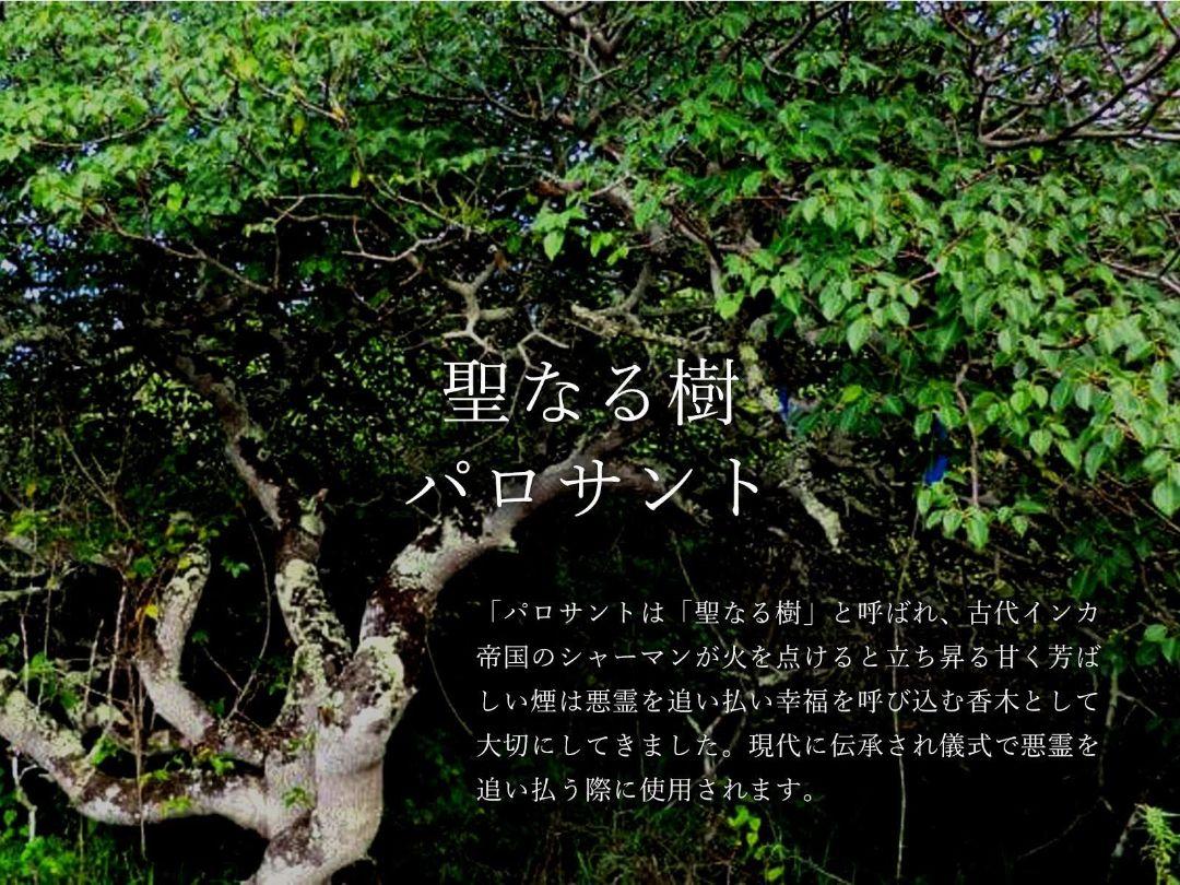 100☆限定特選品☆希少レア激安☆聖なる樹【神秘的な香り♢バロ