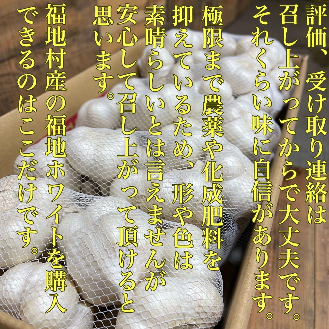 福地村産　土付き　L 10kg 青森県産にんにく　半生　半乾燥　夏坂ふぁーむ 福地村産 土付き L 10kg 青森県産にんにく 半生 半乾燥 夏坂ふぁ