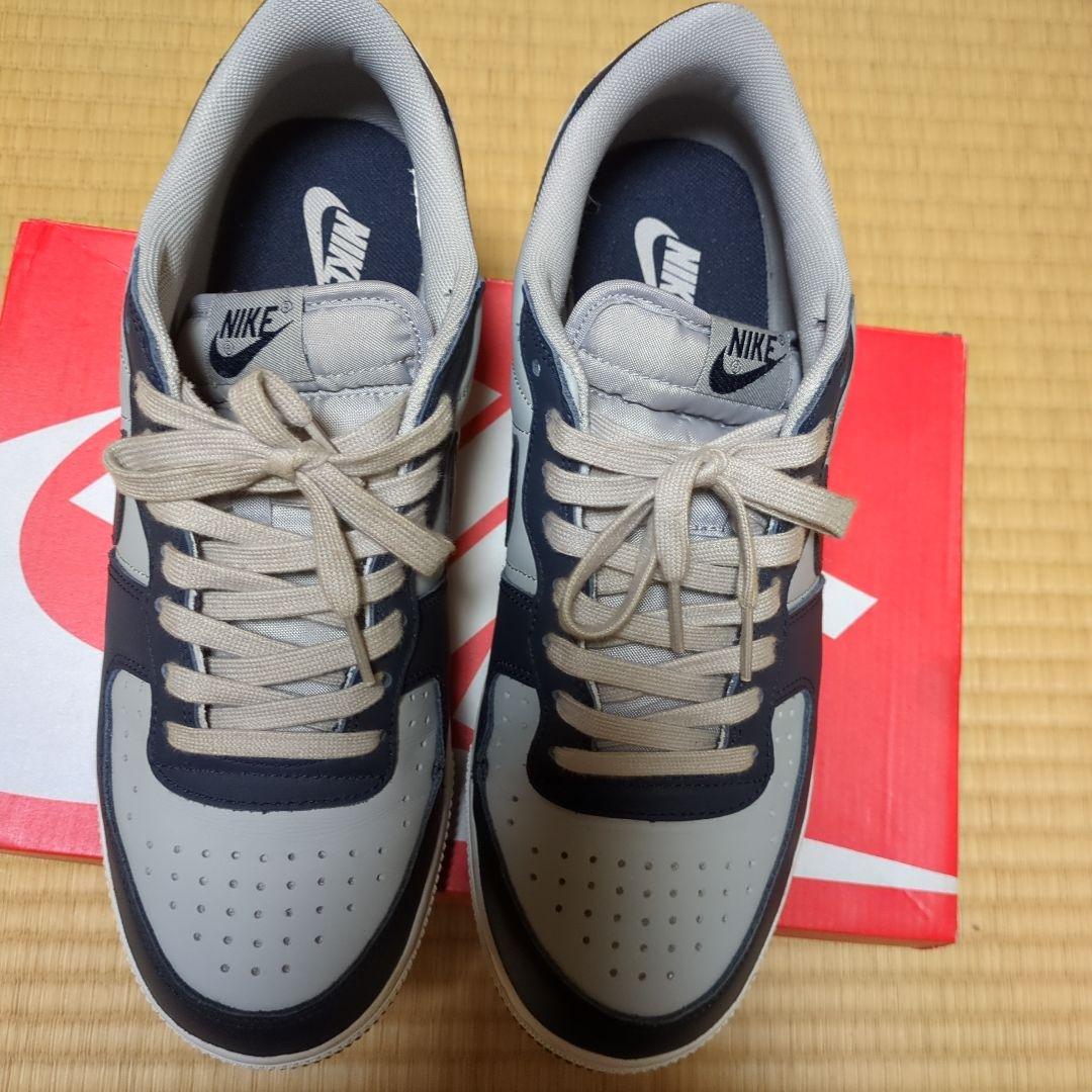 ナイキ ターミネーター ロー