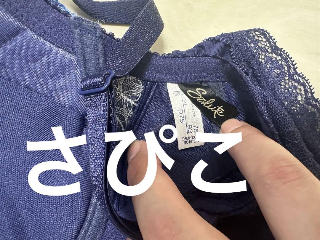 Wacoal❤️サルート❤️新品未使用❤️中国音楽❤️希少❤️D75