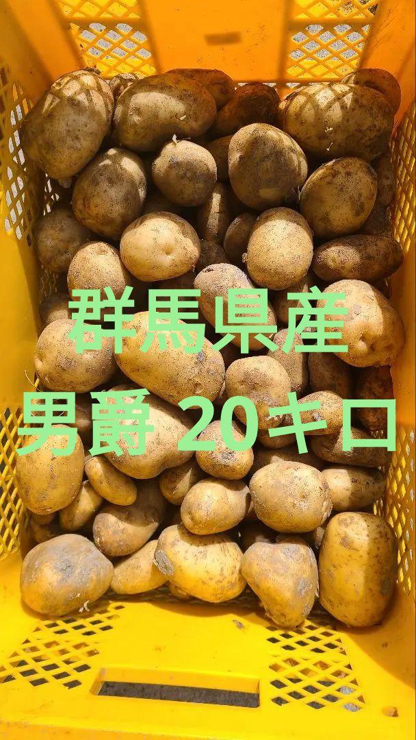 群馬県産 新じゃがいも男爵 20キロ