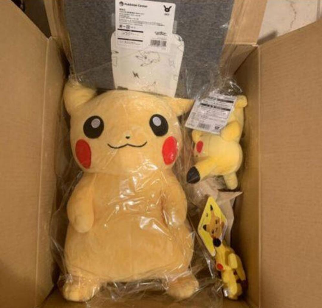 ピカピカボックス 半袖 MEN Mセット FpWZA-m84731110051 ルームウェアセット ピカチュウすやすや 再入荷格安