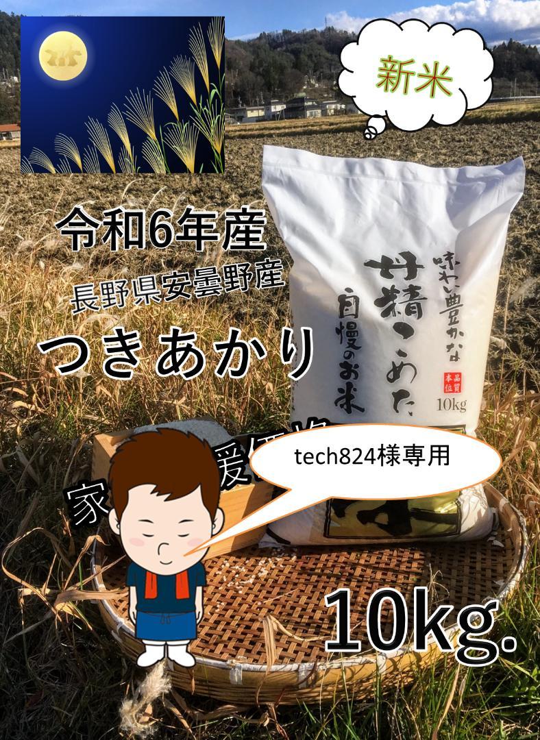 tech824 長野県 北安曇野産 新米 つきあかり 10kg