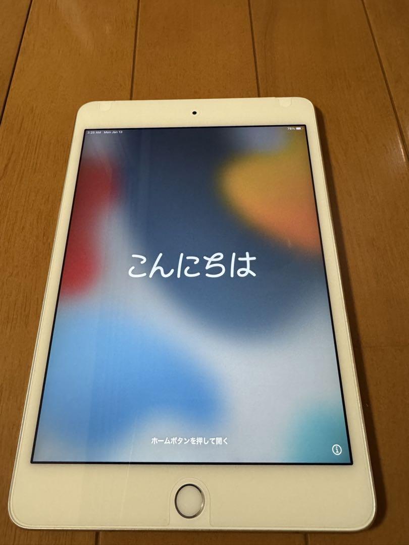 iPad