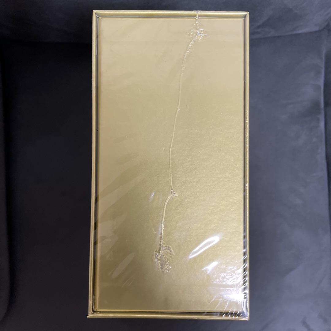 25th Anniversary Golden Box ピカチュウ