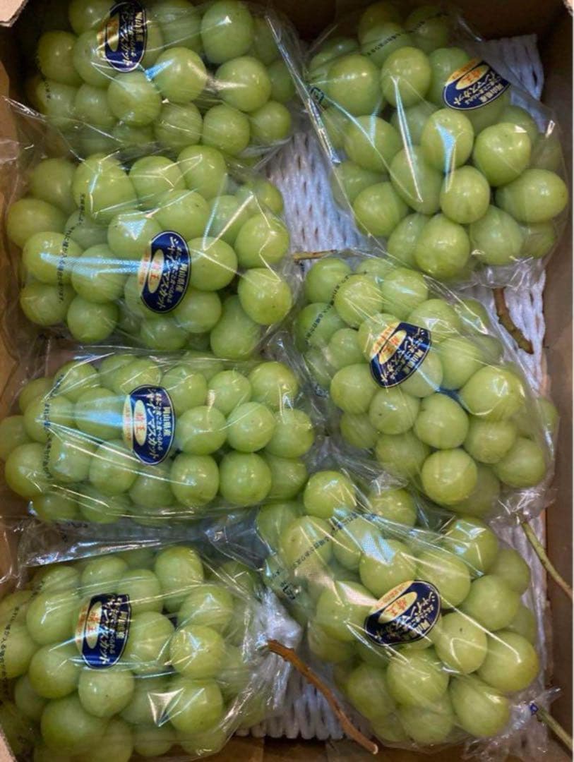 ❣️大特価❣️岡山県産 シャインマスカット約5キロ