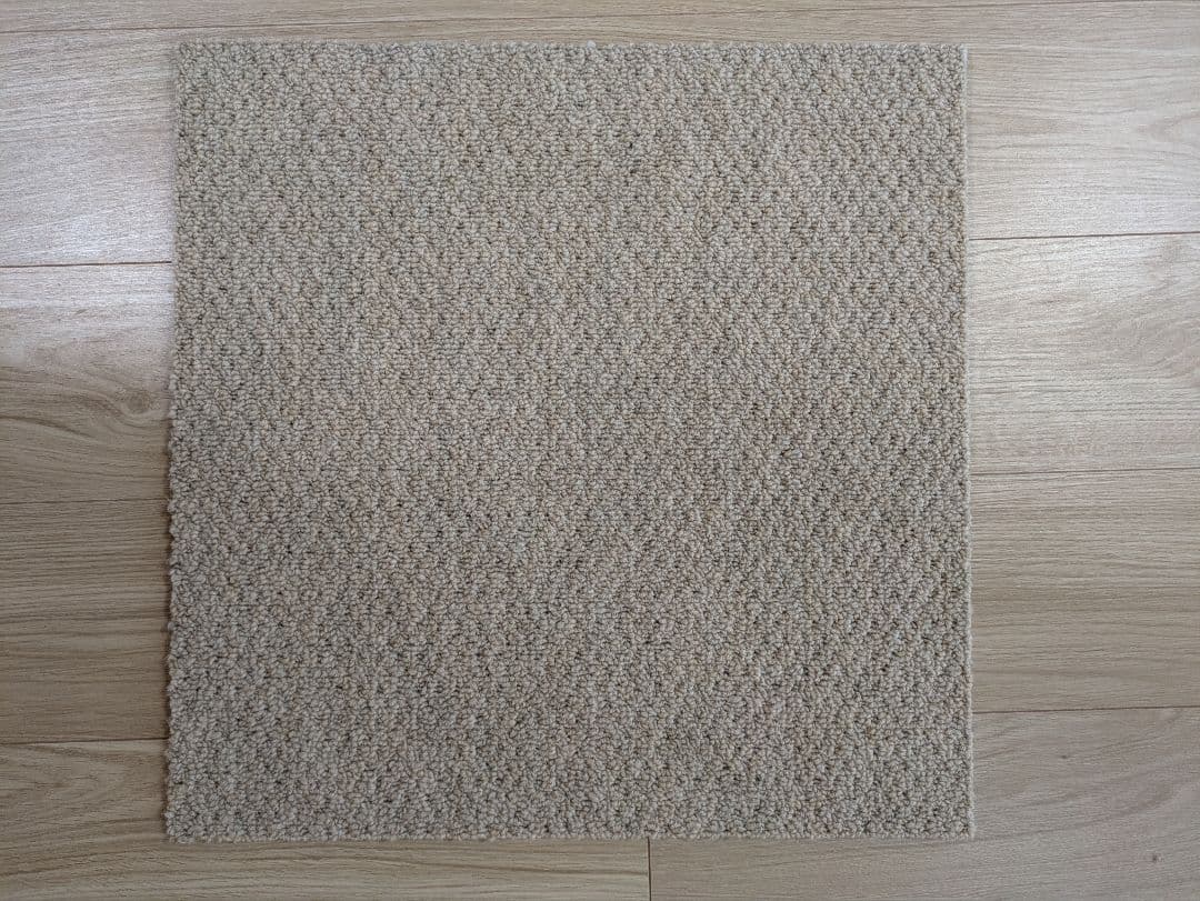 静床ライト 10枚