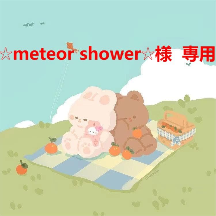 ☆meteor shower☆様  専用