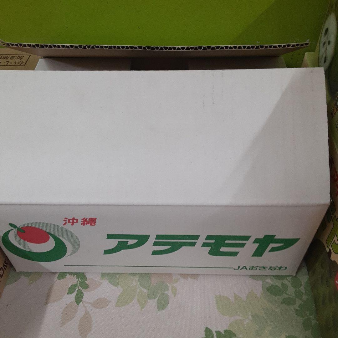 アテモヤ2㎏①