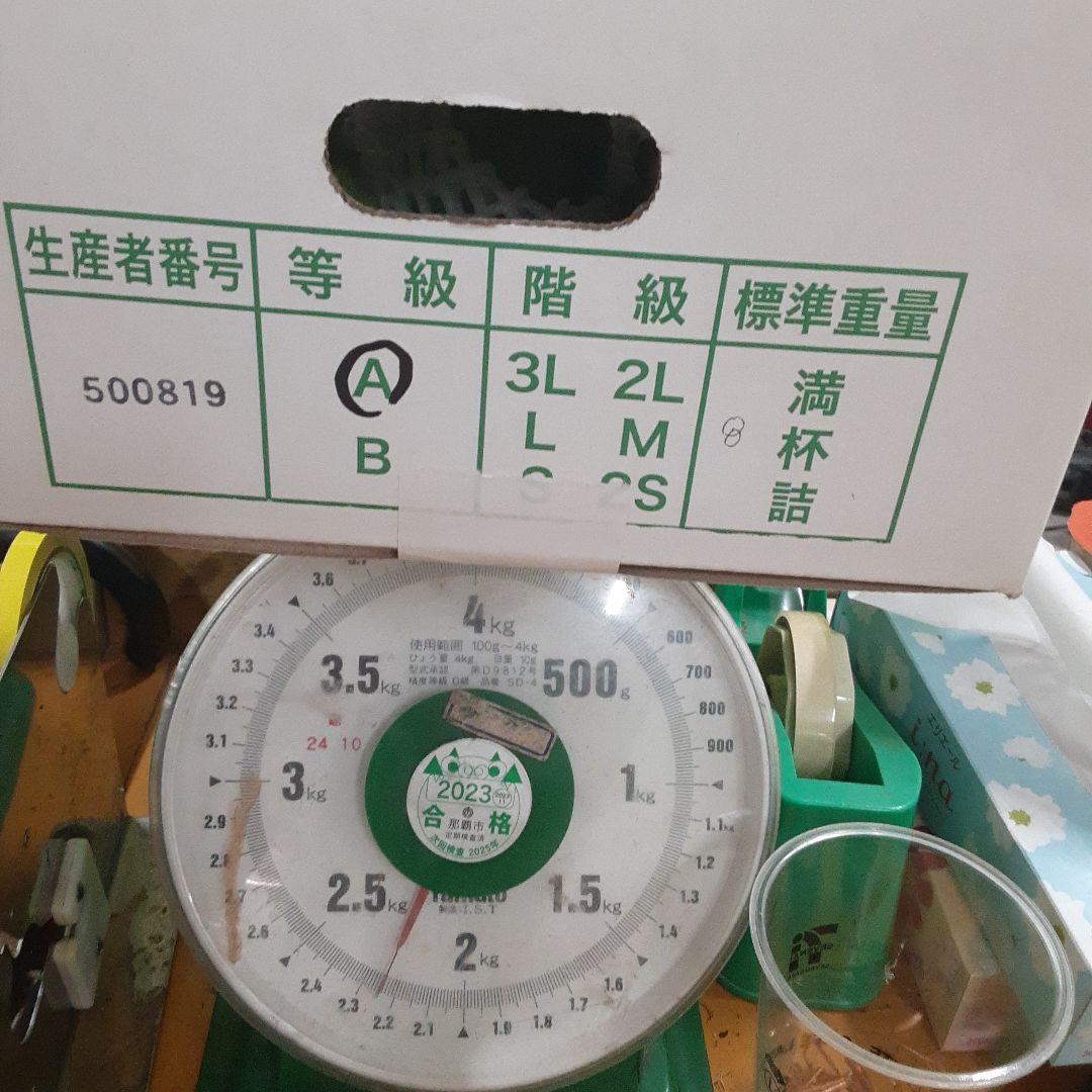 アテモヤ2㎏①