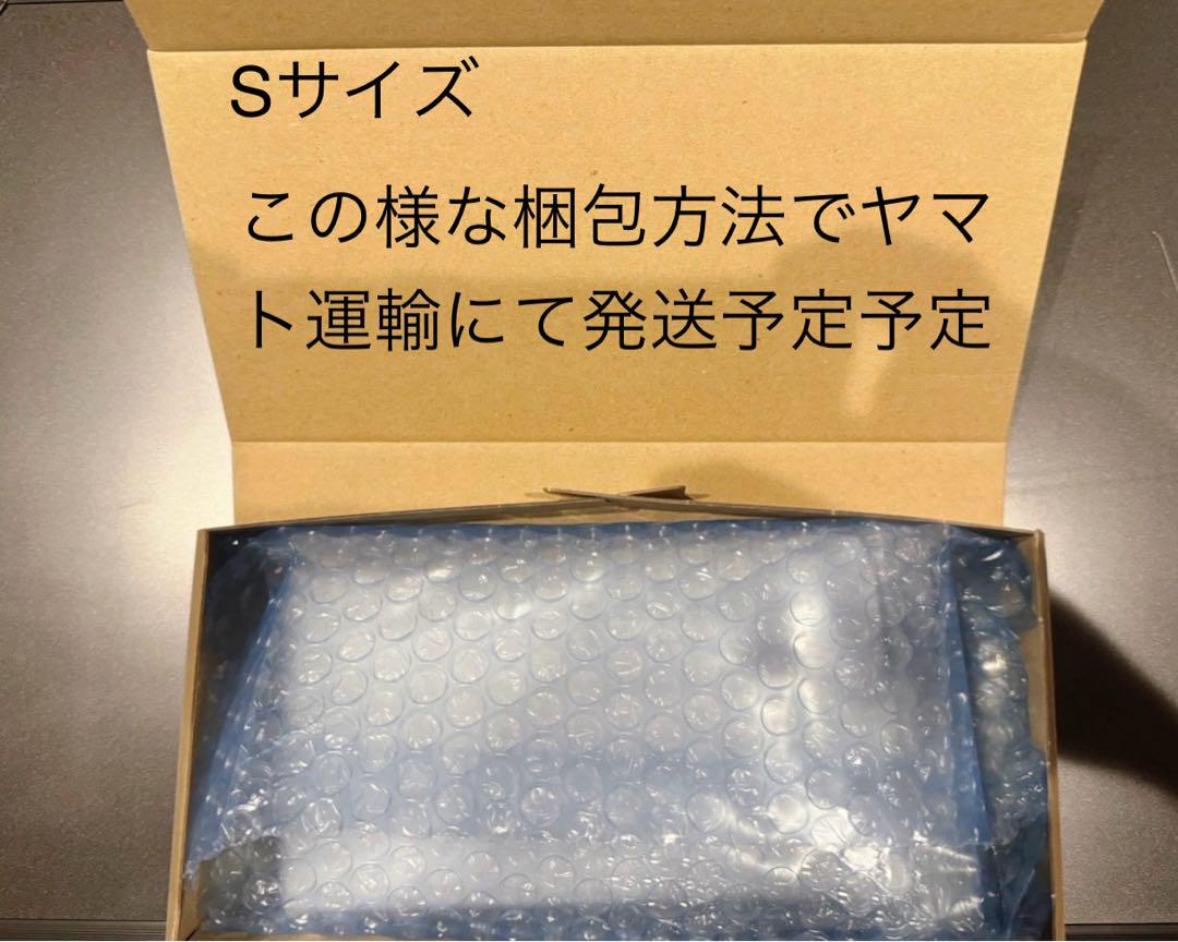 PSA10ダイゴのダンバル#019 859