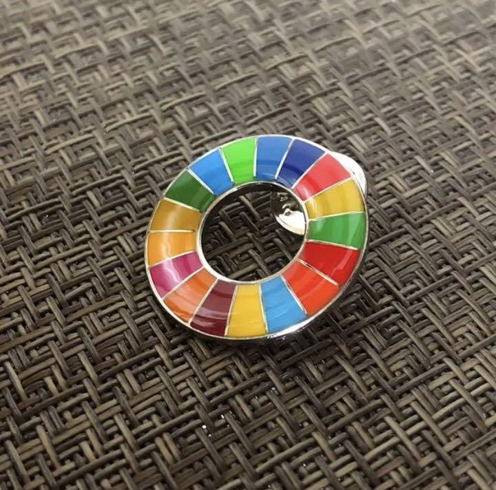 大人気 SDGs バッジ ピンタイプ LfSM4-m84784192899 100個 国連ガイドライン 2022低価