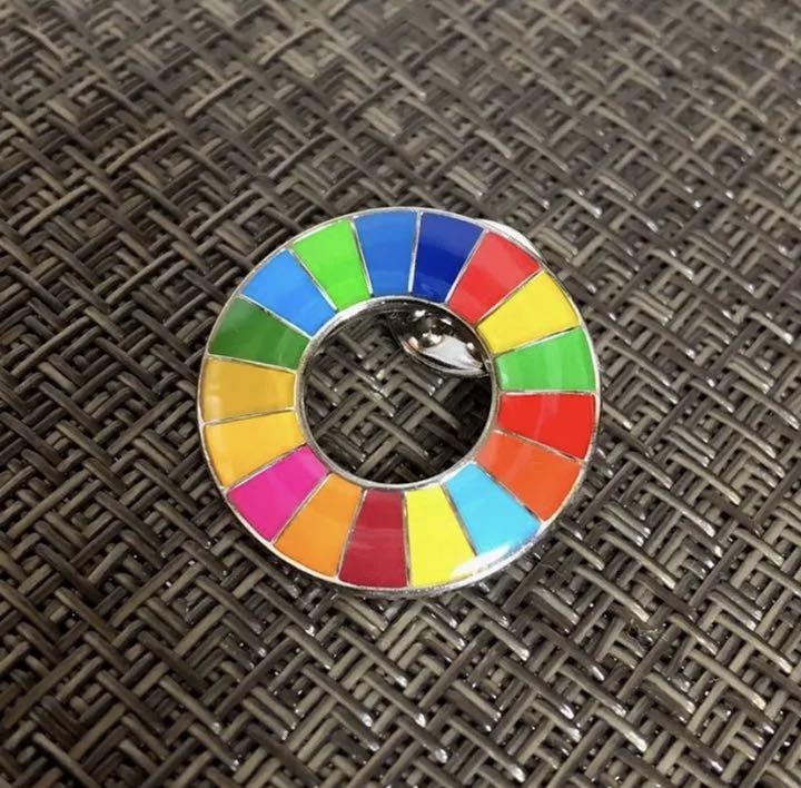 大人気 SDGs バッジ ピンタイプ LfSM4-m84784192899 100個 国連ガイドライン 2022低価