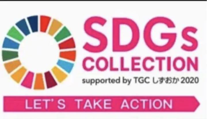 大人気 SDGs バッジ ピンタイプ LfSM4-m84784192899 100個 国連ガイドライン 2022低価