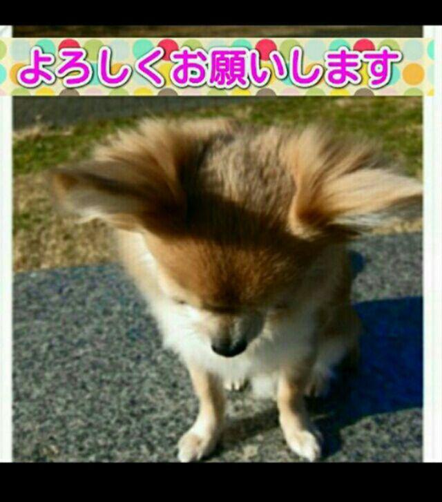 まる様専用ページ