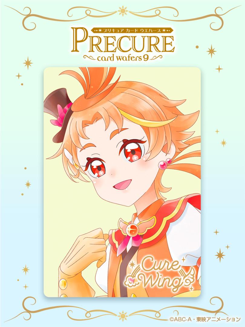 プリキュア　HRカード九枚セット