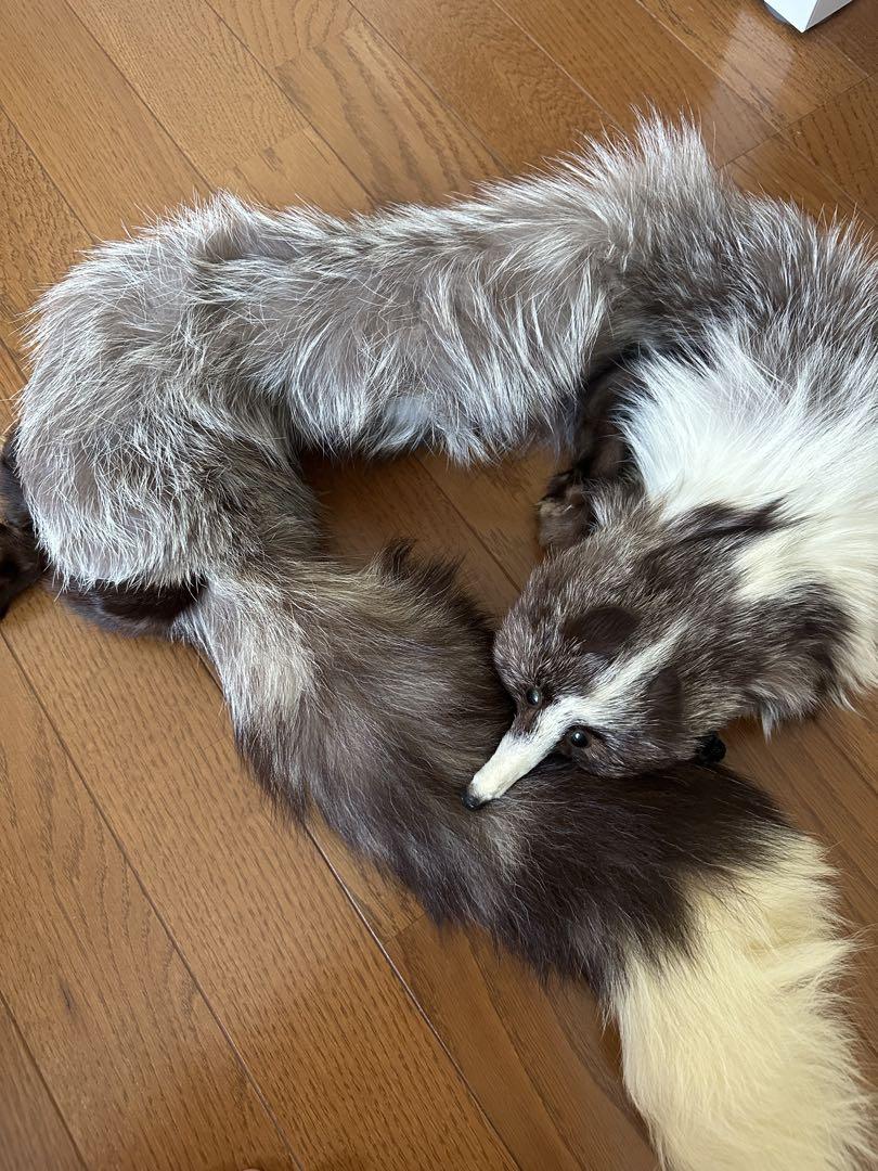 リアルファー　キツネの剥製マフラー