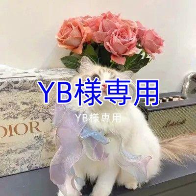 海外限定】 YB パーカー - njgroup.com.br