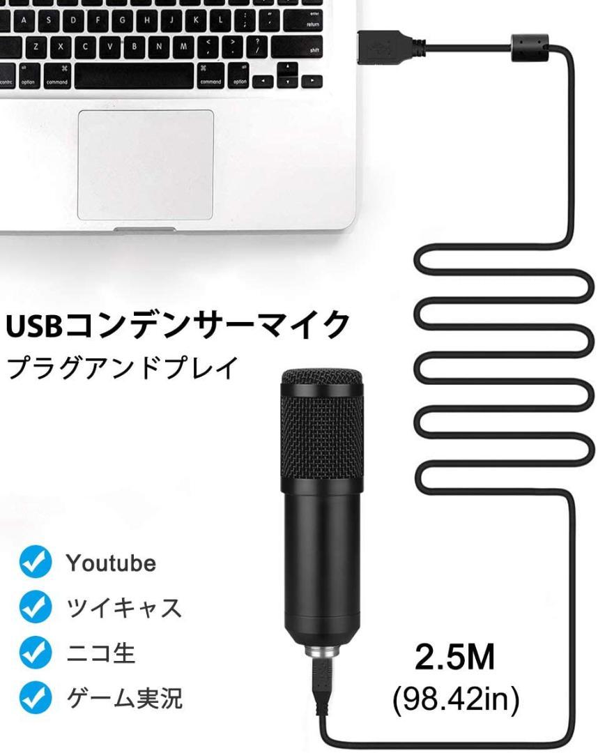 驚きの値段で プロ仕様で使いやすい 超高音質 プロフェッショナル コンデンサーマイクセット レコーディング Pa機器 楽器 器材 10 256 Ccg Org Br